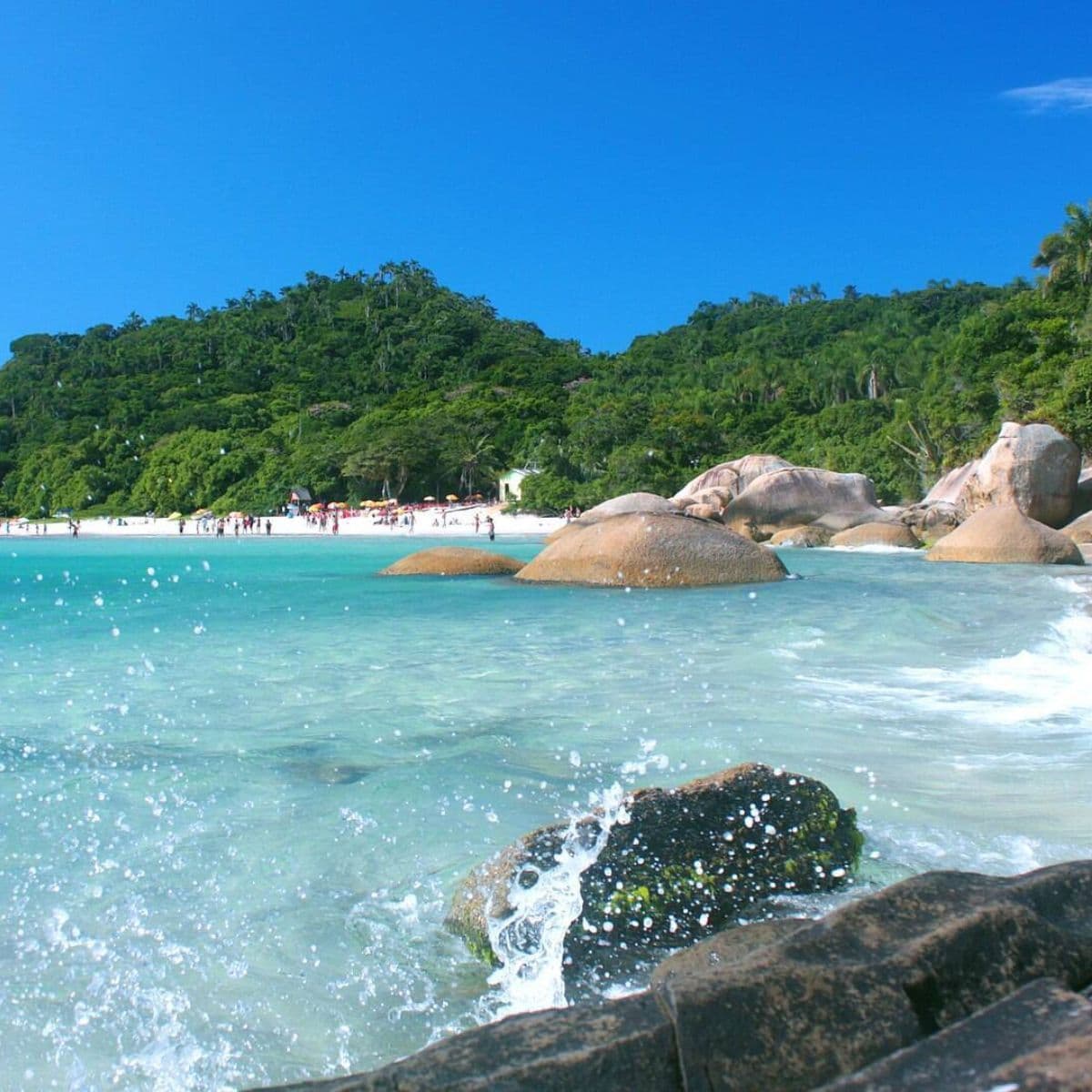 Florianópolis baja Agosto a Diciembre 2026 Media Pensión y Paseos — foto 2